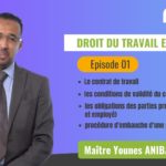 droit-du-travail-en-officine-younes-anibar